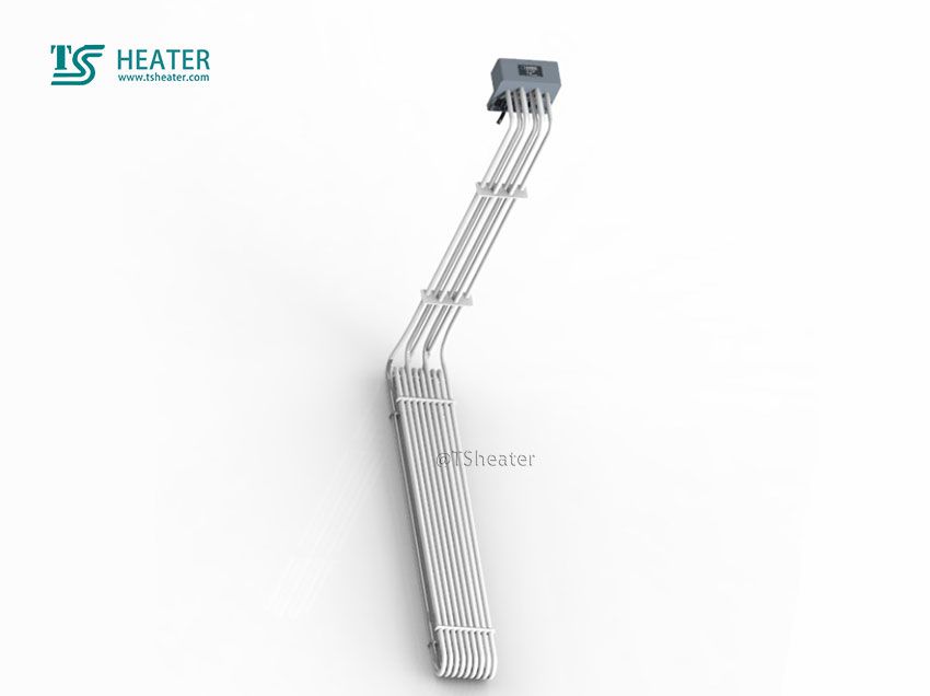 Customized Teflon Immersion Heater (1)
