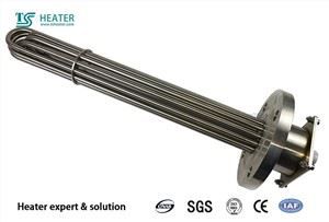 Flange Heater For Hot Water System